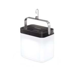 luz